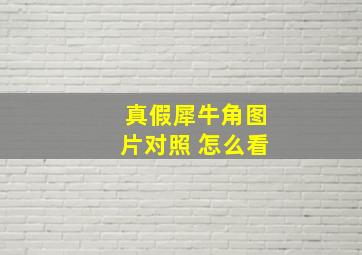 真假犀牛角图片对照 怎么看